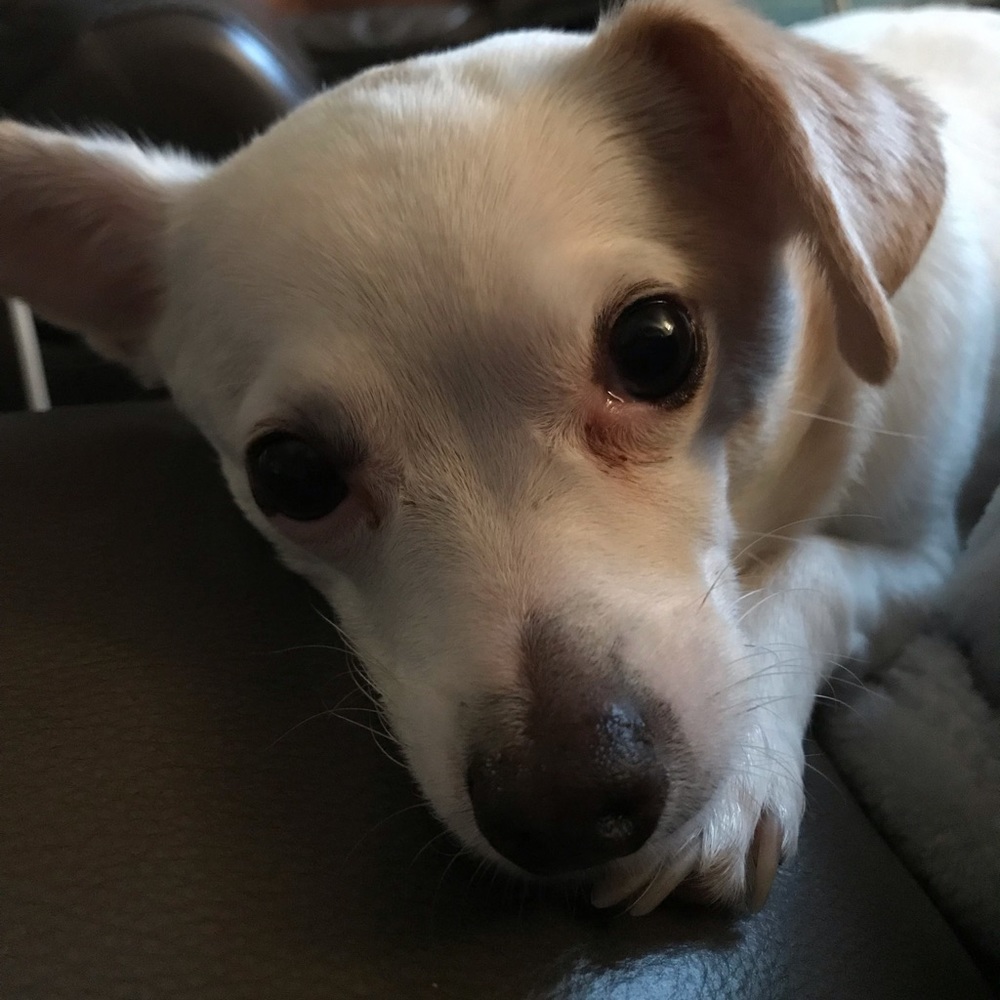 Meet your Posher, Candy